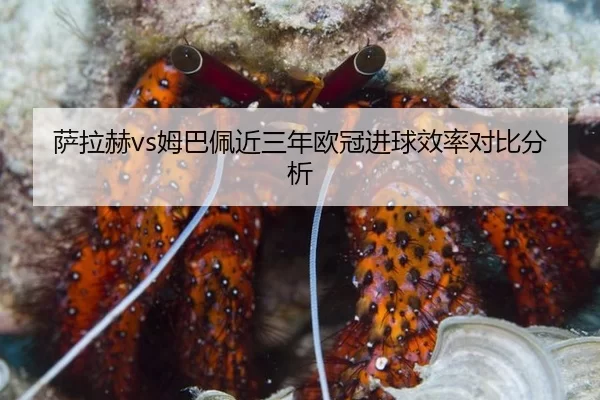 sa-la-he-mu-ba-pei-jin-san-nian-ou-guan-jin-qiu-xiao-lv-dui-bi-fen-xi-2-212.jpg